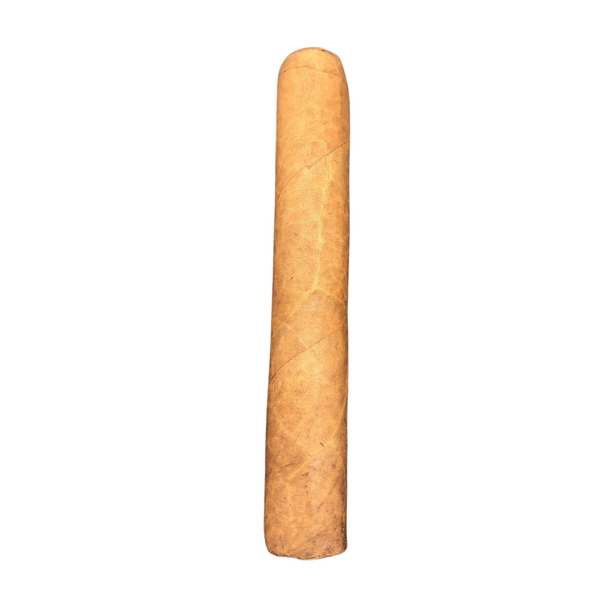 RPD - Flex Connecticut Gordo Cigar – Single
