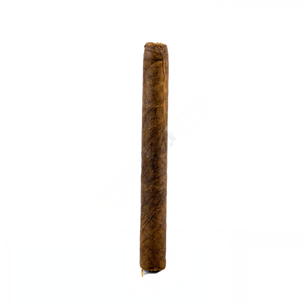 RPD - Flex Connecticut Robusto Cigar – Single