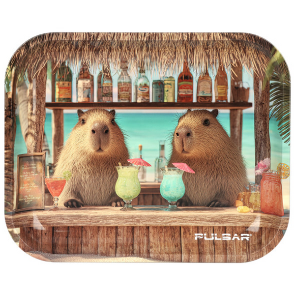 13"x11" - Pulsar Design Series Large Metal Rolling Tray - Capybara Cabana (SA5623LG)