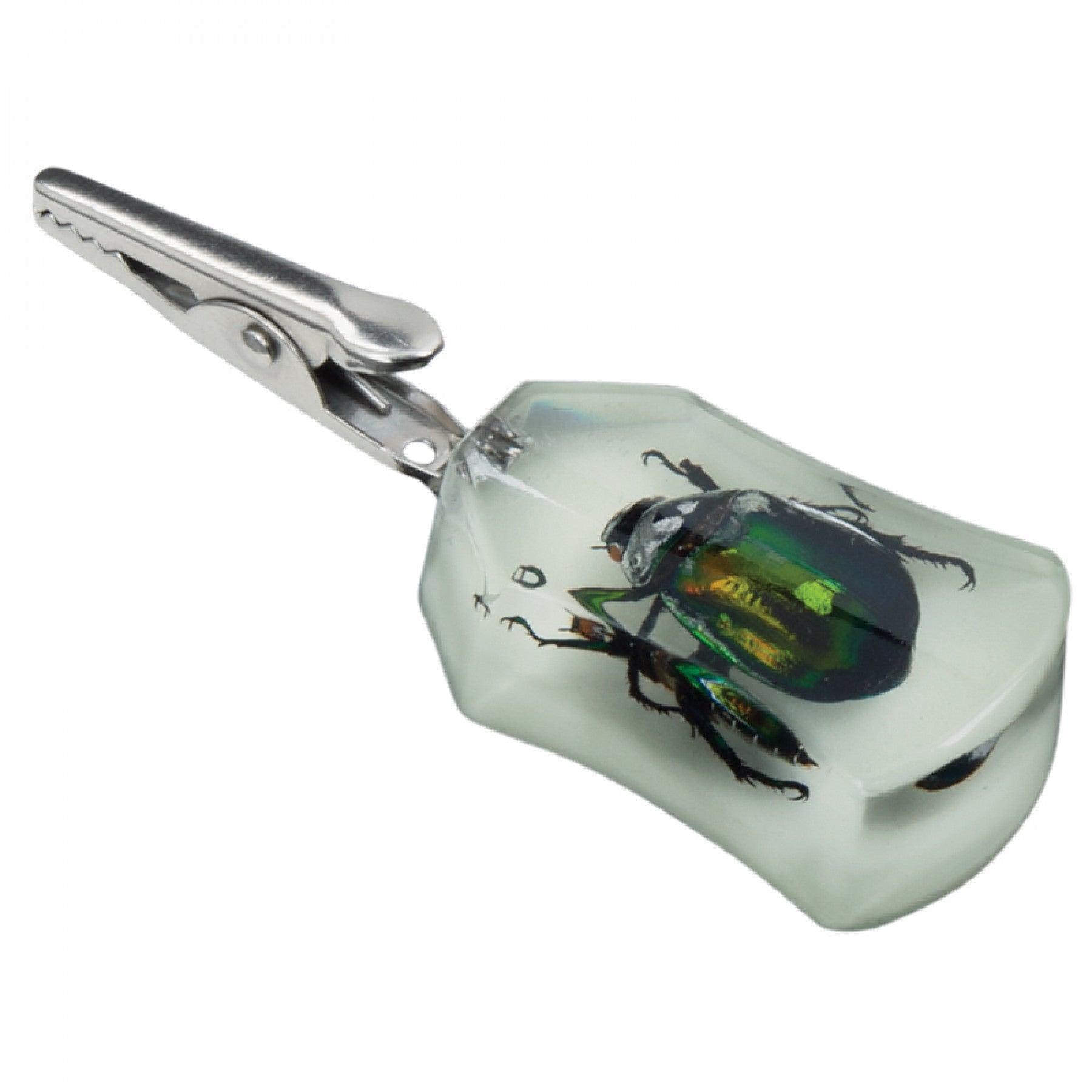 Bug Roach Clips - 5 Styles Available – SmokeTime